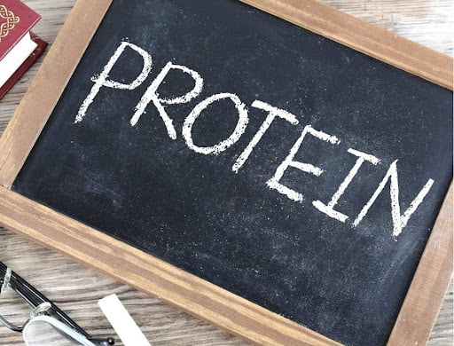 protein 
