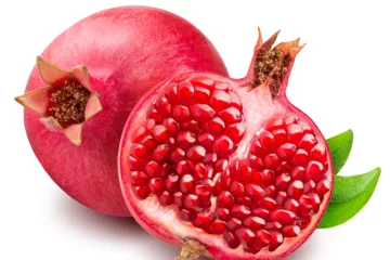 can dogs eat pomegranate