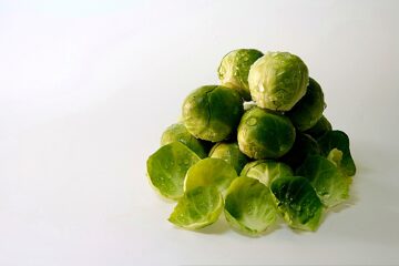 can dogs eat brussels sprouts