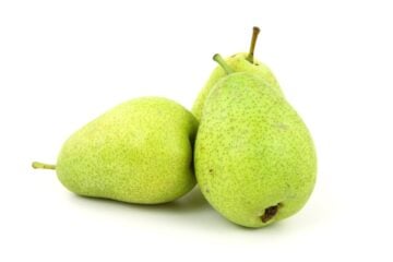 can dogs eat pears