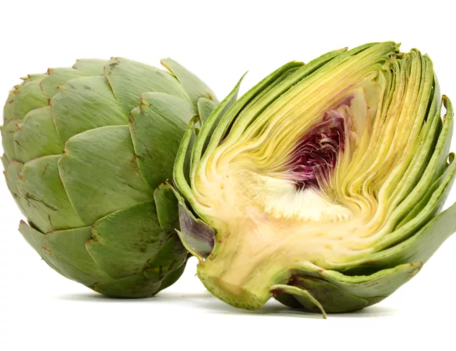 can dogs eat artichokes