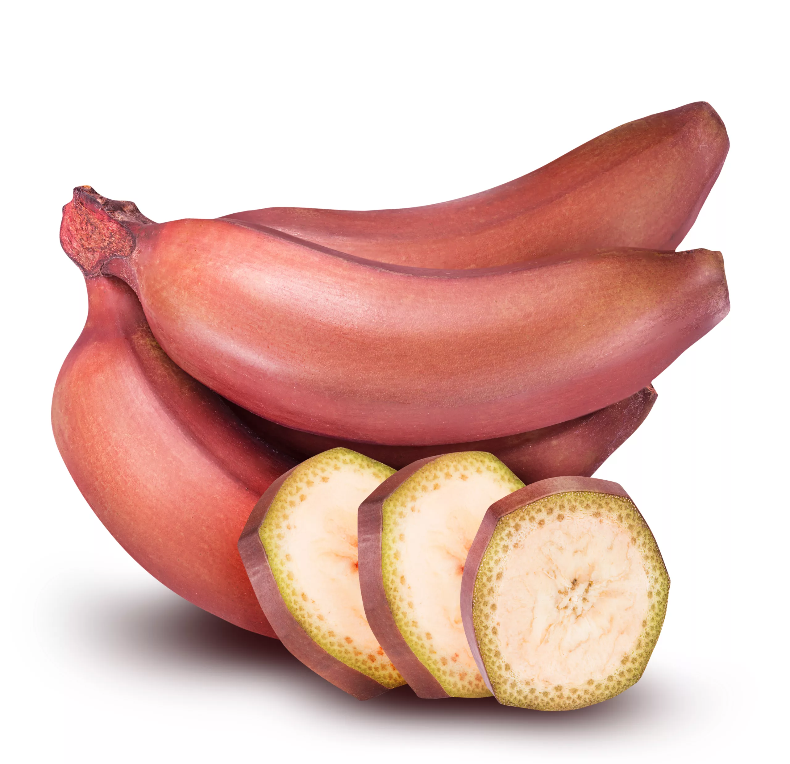 can dogs eat red bananas