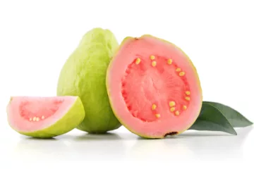 can dogs eat guava fruit