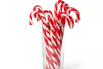 can dogs eat candy canes
