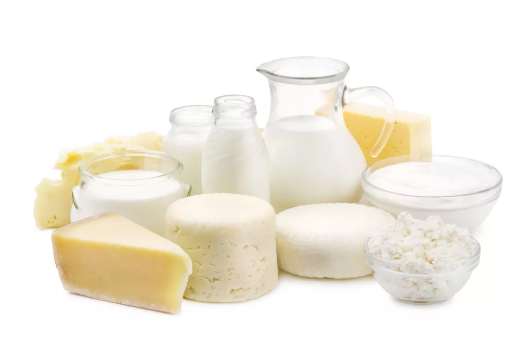 collection of dairy products