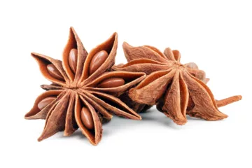 can dogs eat star anise