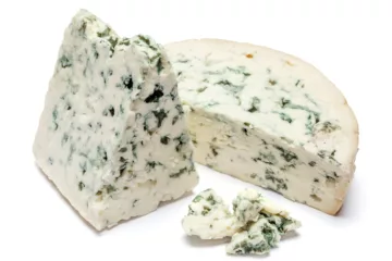 can dogs eat blue cheese