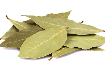 can dogs eat bay leaves