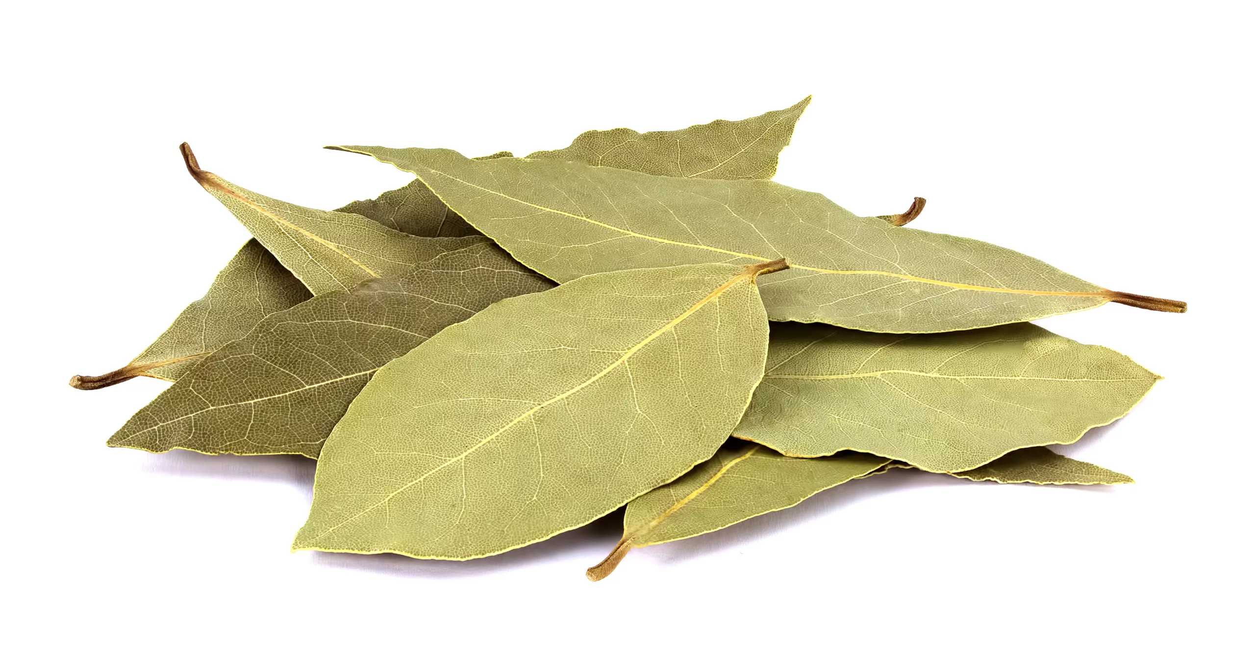 can dogs eat bay leaves