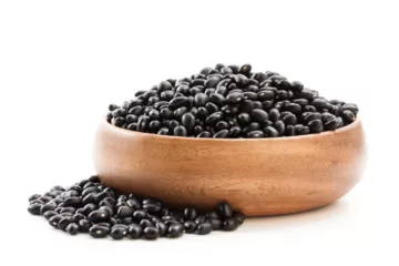 can dogs eat black beans