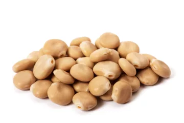 can dogs eat Lupini Beans