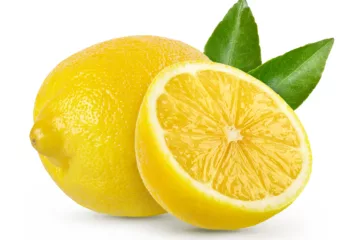 can dogs eat lemons