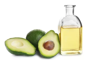 can dogs eat avocado oil