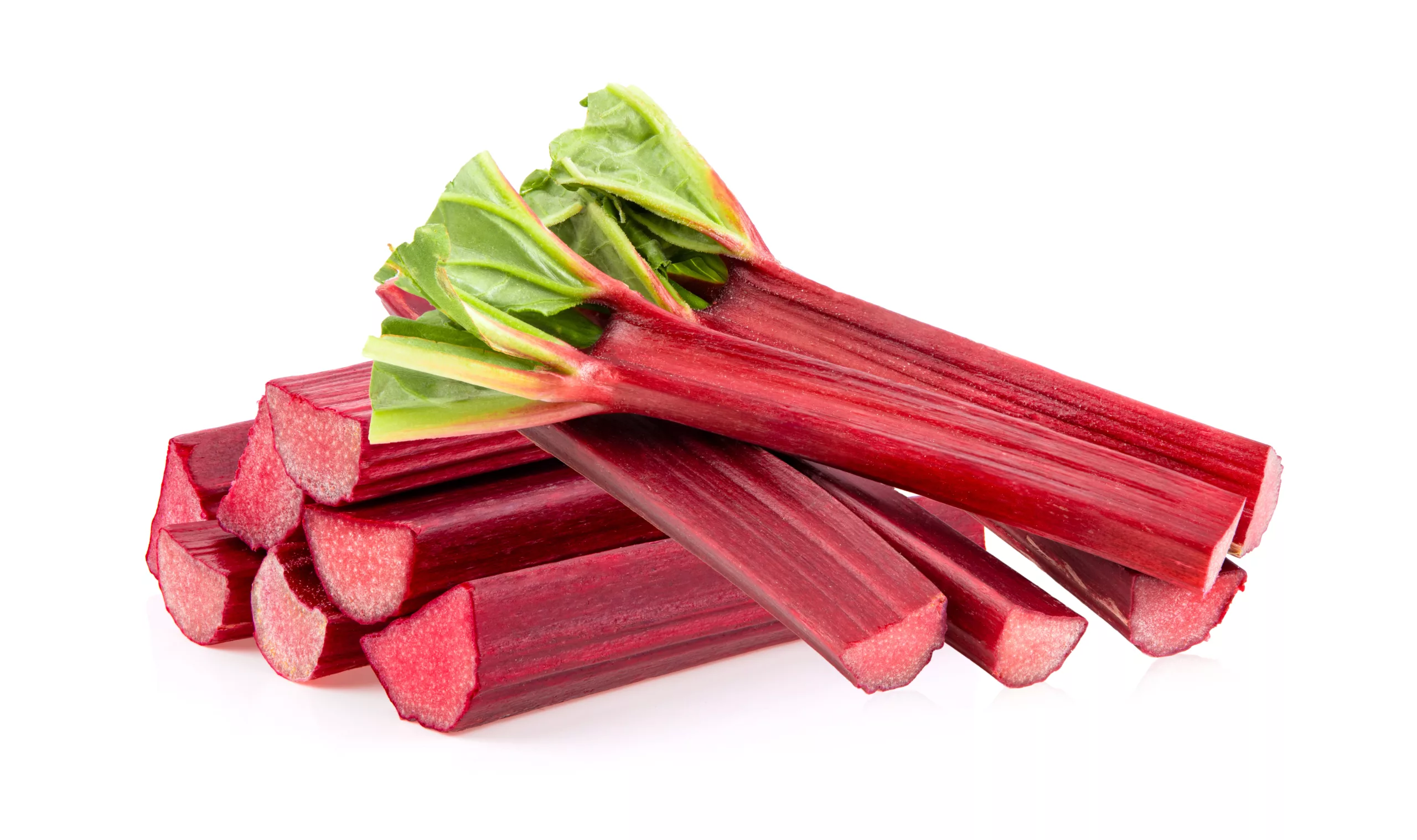 can dogs eat rhubarb