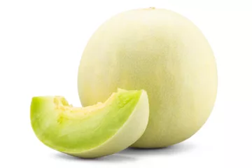 can dogs eat honeydew melon