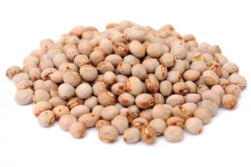 can dogs eat Pigeon Peas
