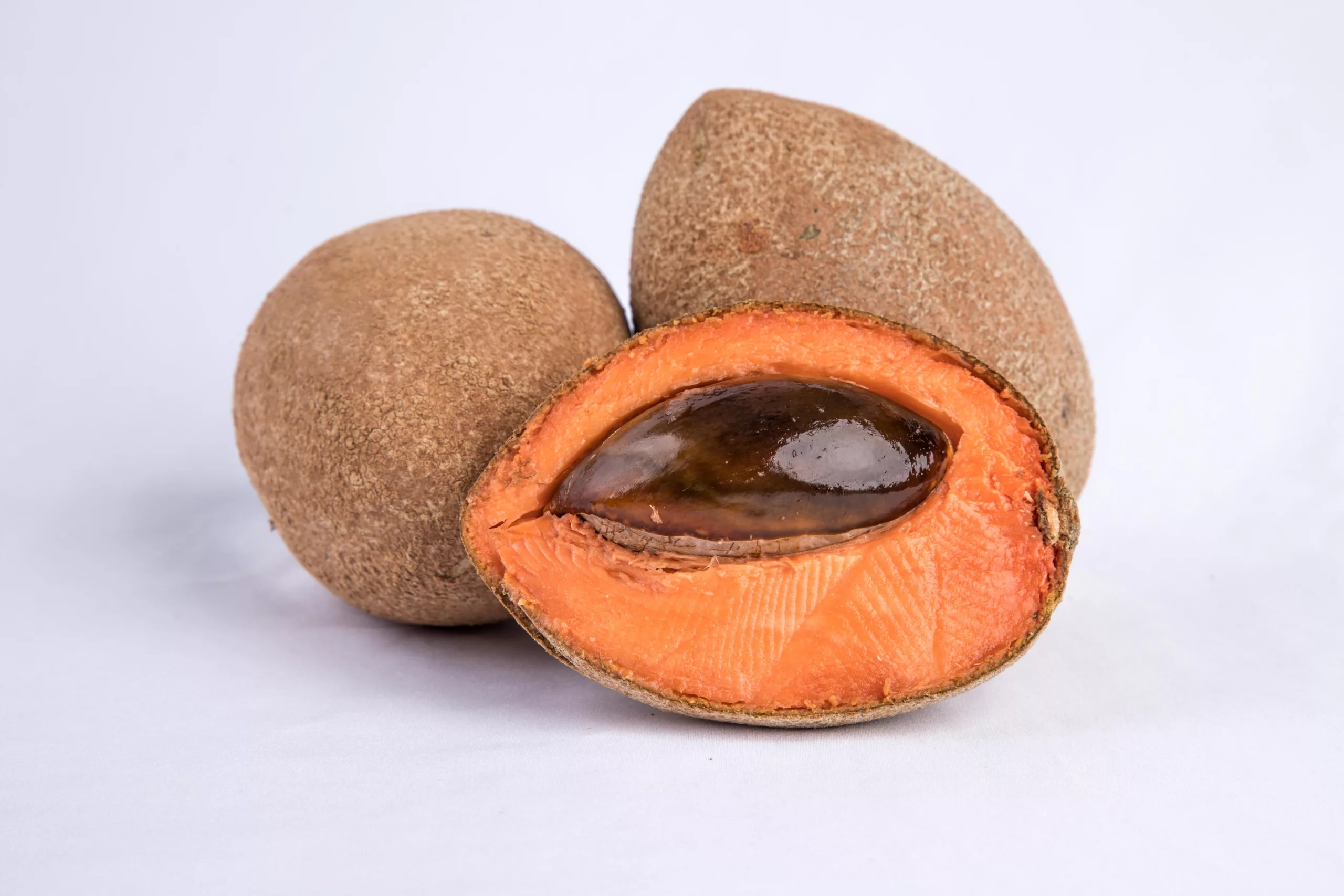 can dogs eat mamey