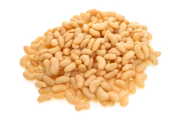 can dogs eat Cannellini Beans