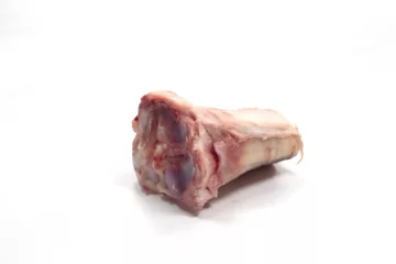 can dogs eat veal bones