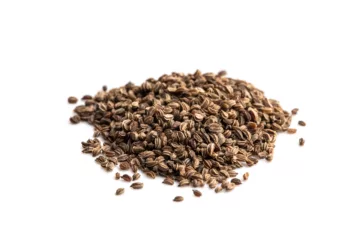 can dogs eat celery seed