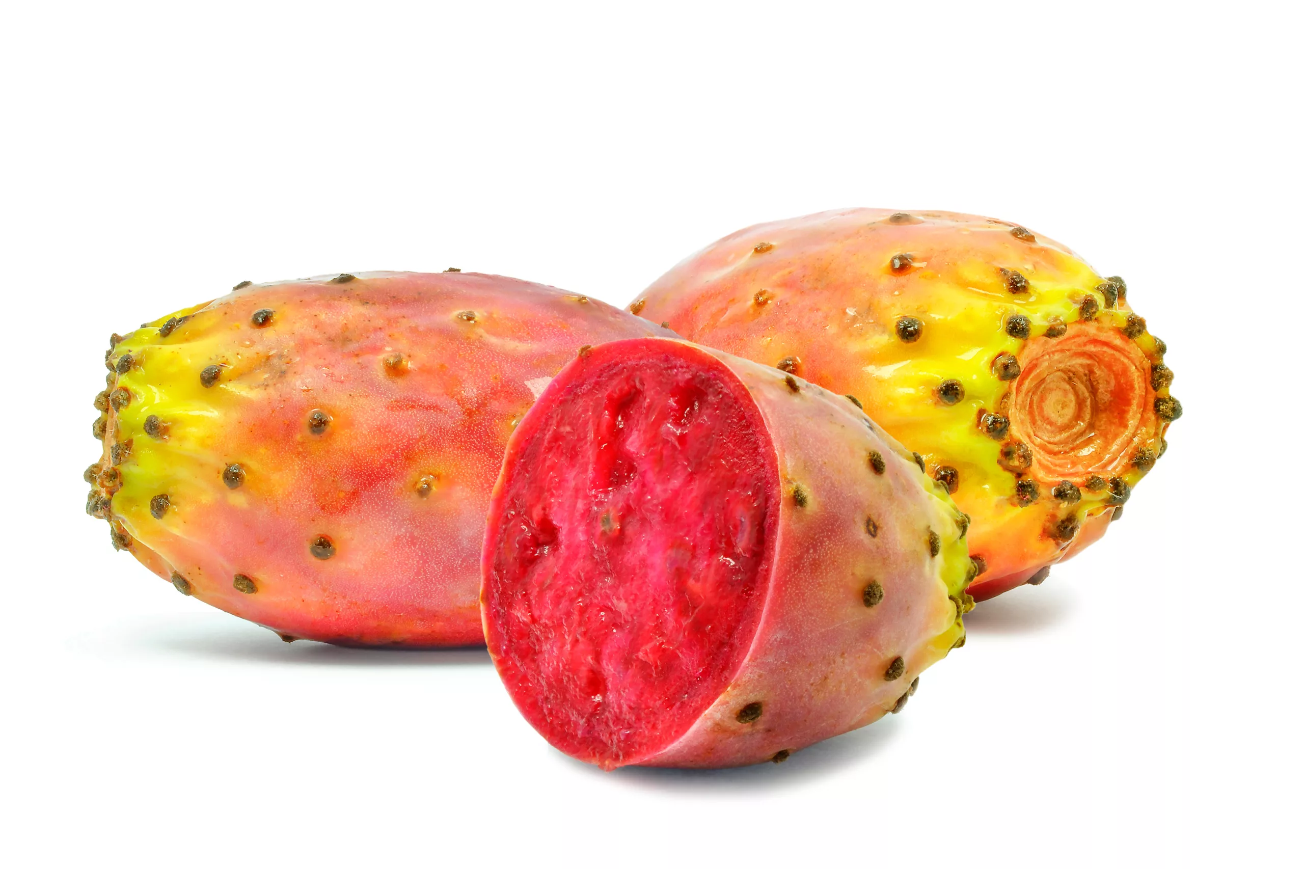 can dogs eat prickly pears