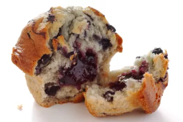 can dogs eat blueberry muffins