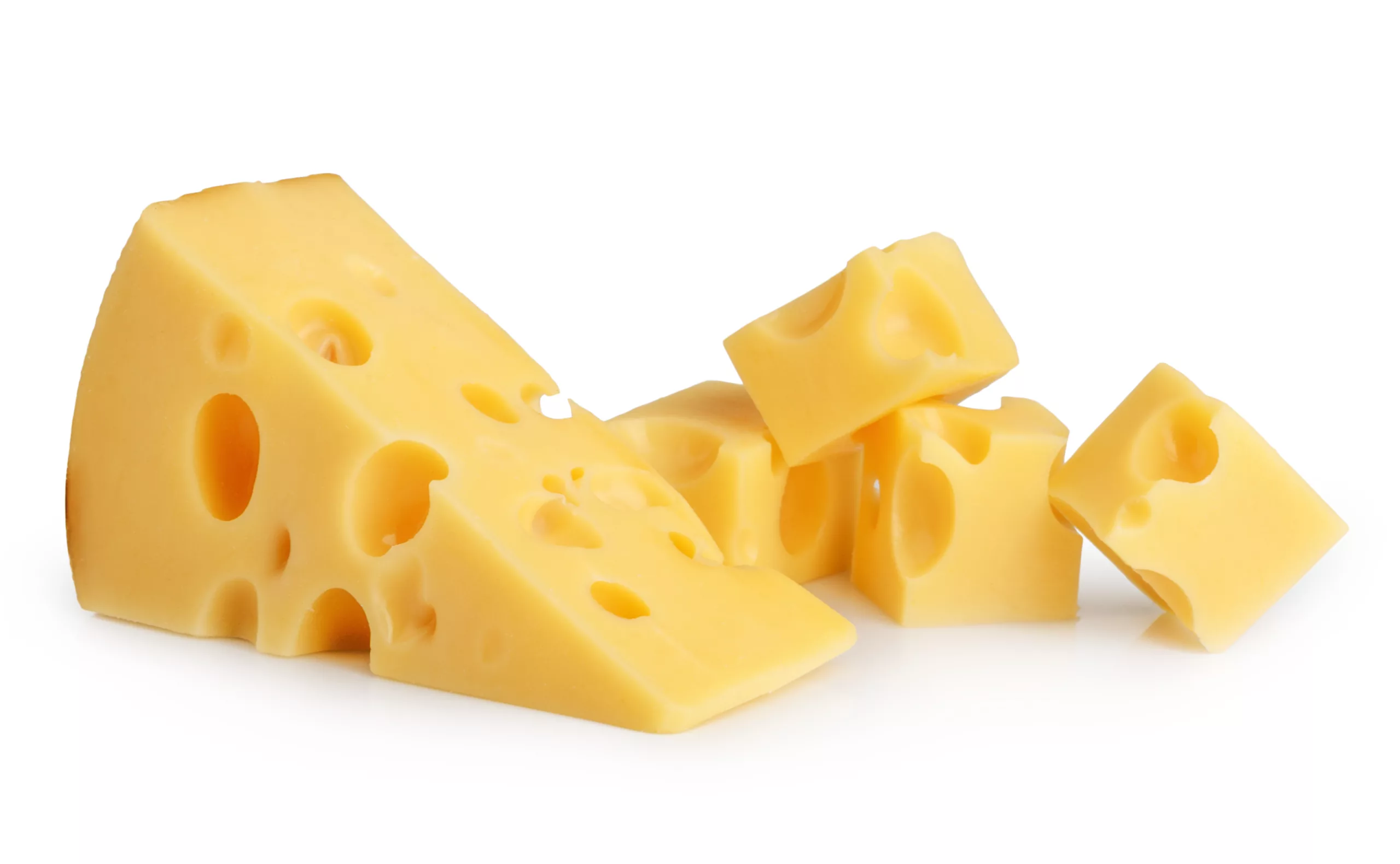 can dogs eat swiss cheese
