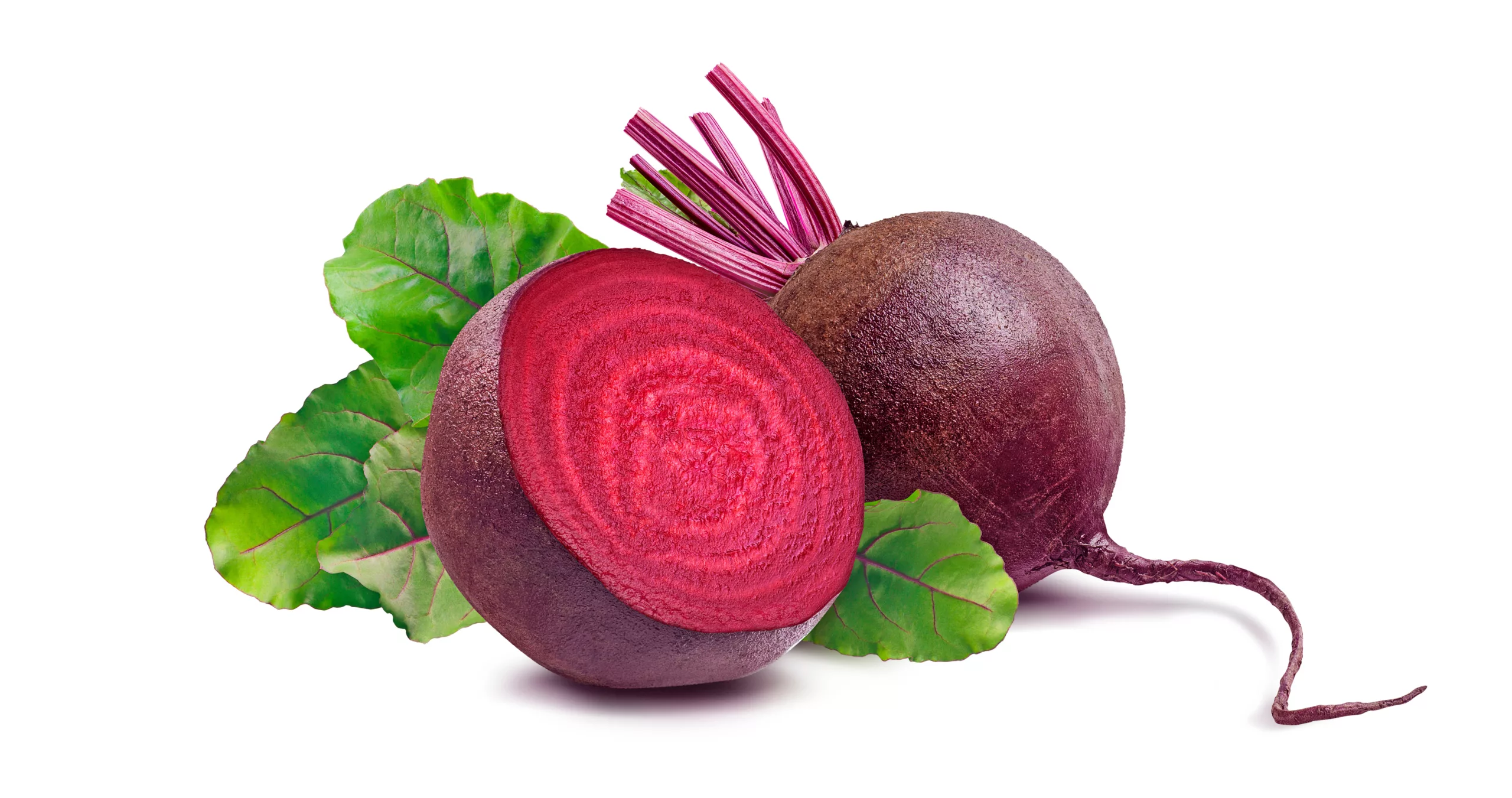 can dogs eat beets