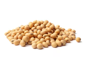 can dogs eat soy beans