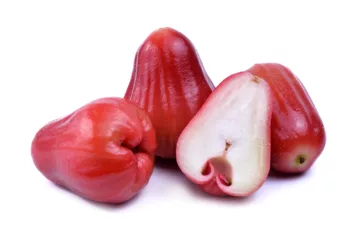can dogs eat rose apples
