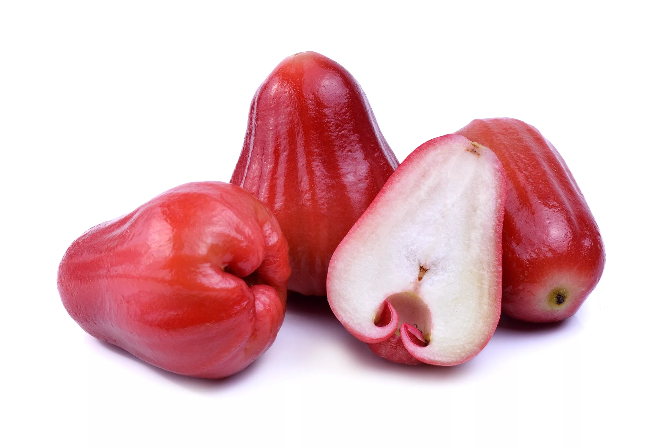 can dogs eat rose apples