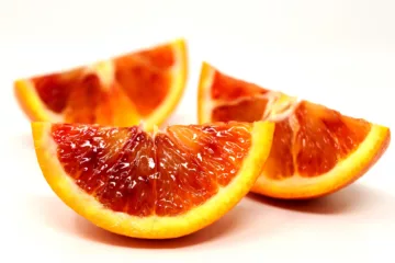 can dogs eat blood oranges