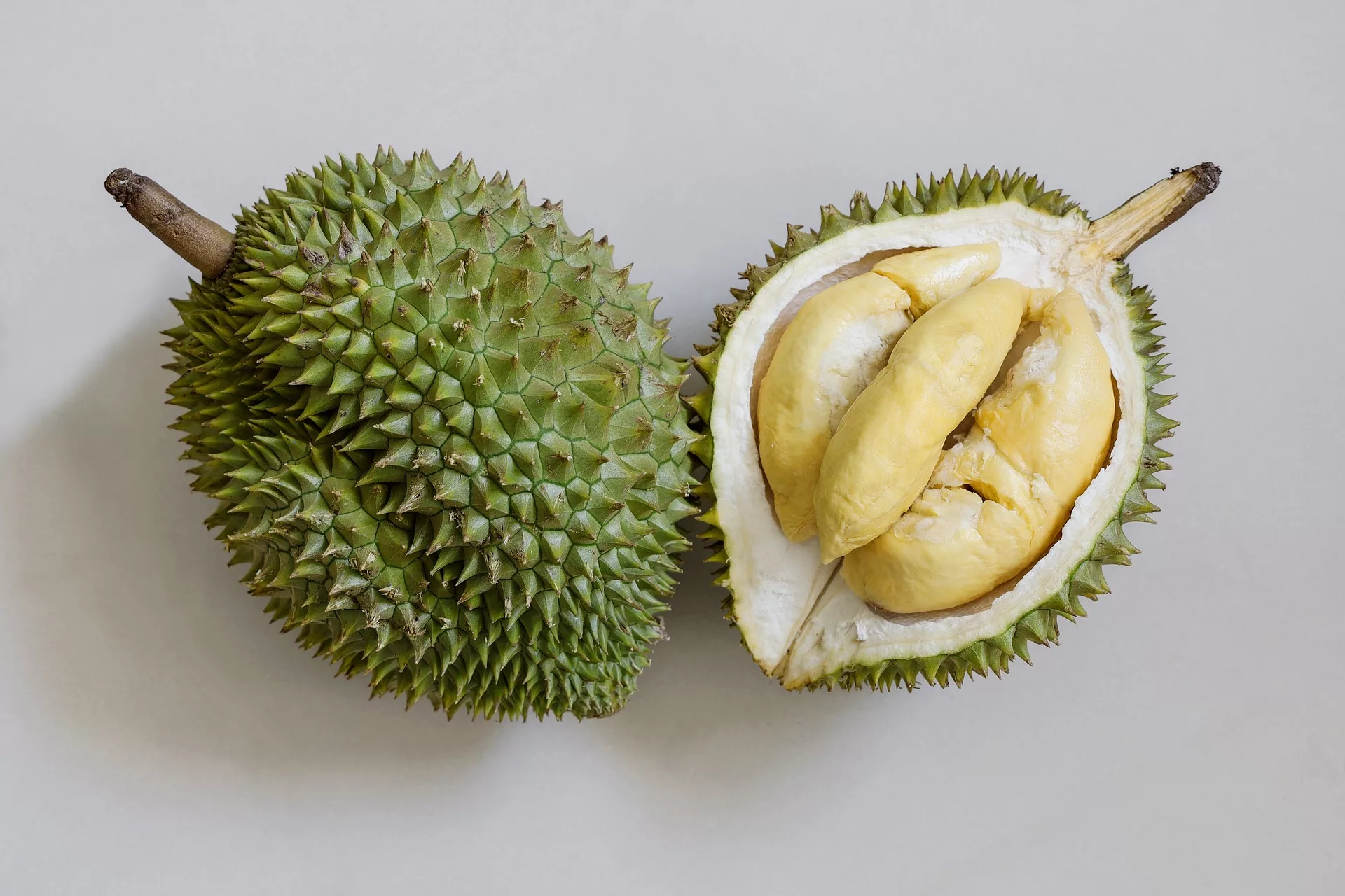 can dogs eat durian