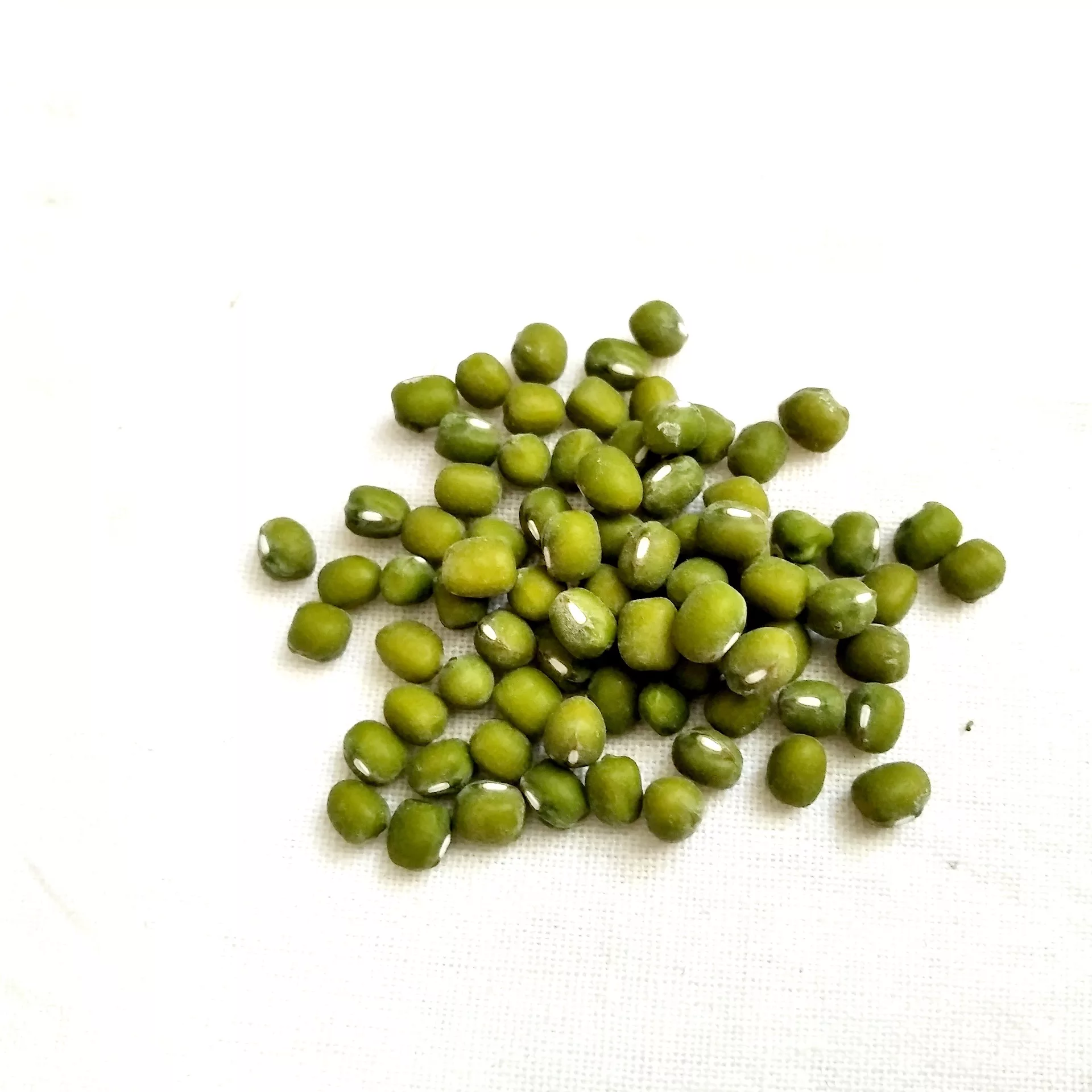 can dogs eat Mung Beans
