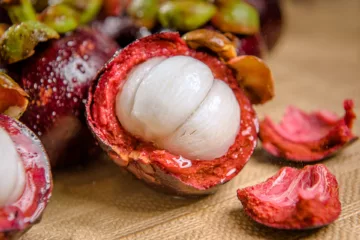 can dogs eat mangosteen