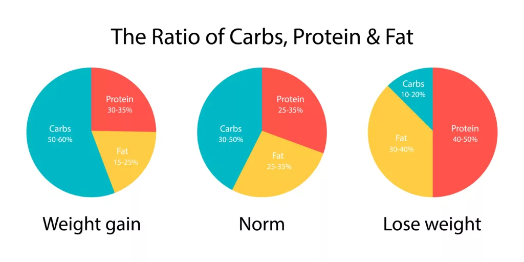 The diagram ratio of carbs, fats and protein for weight gain and