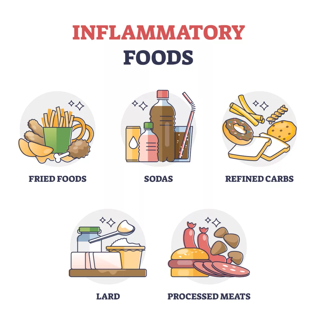 Inflammatory foods with unhealthy daily eating habits