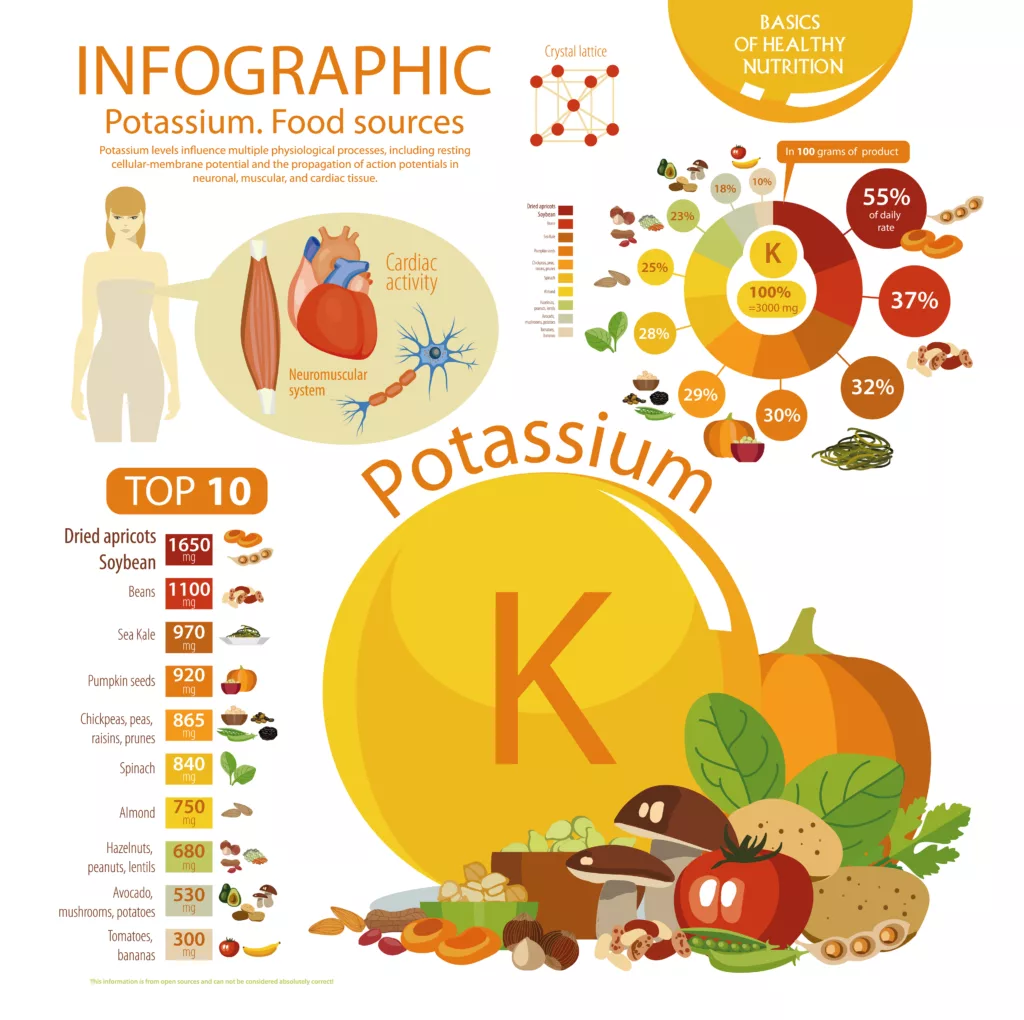 Infographics "Potassium. Food sources." Food with the maximum co