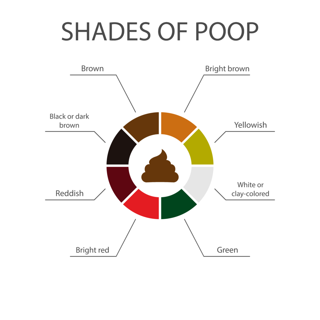 shades of poop