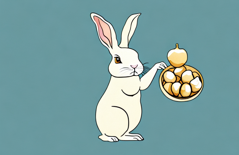 A rabbit holding a macadamia nut