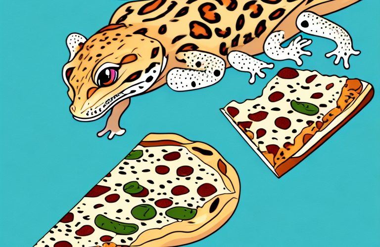 A leopard gecko eating a piece of flatbread