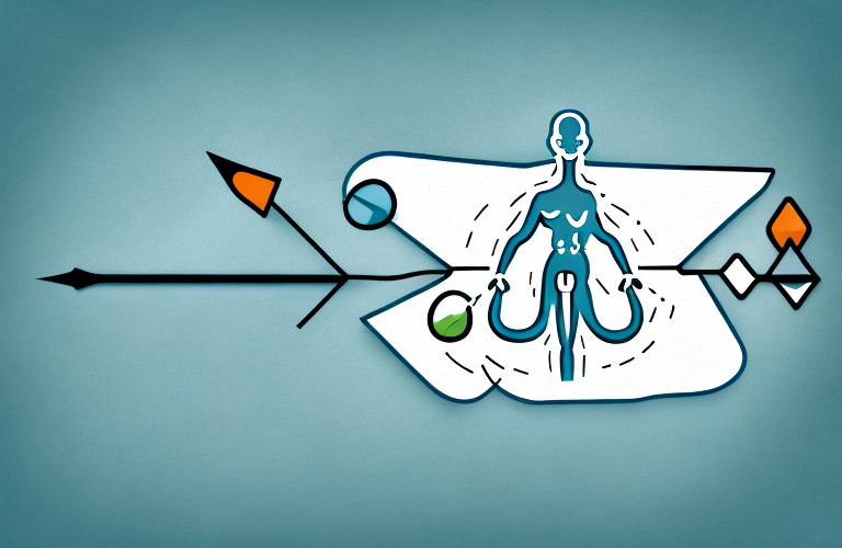 A pelvic floor muscle with an arrow pointing to it