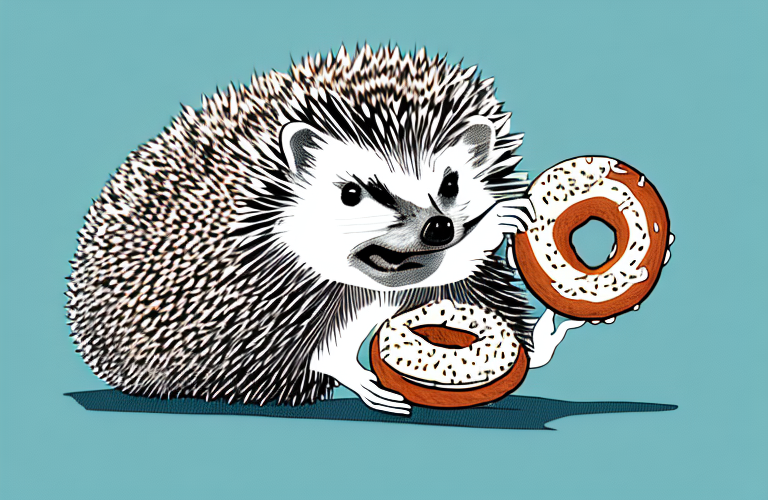 A hedgehog eating a bagel