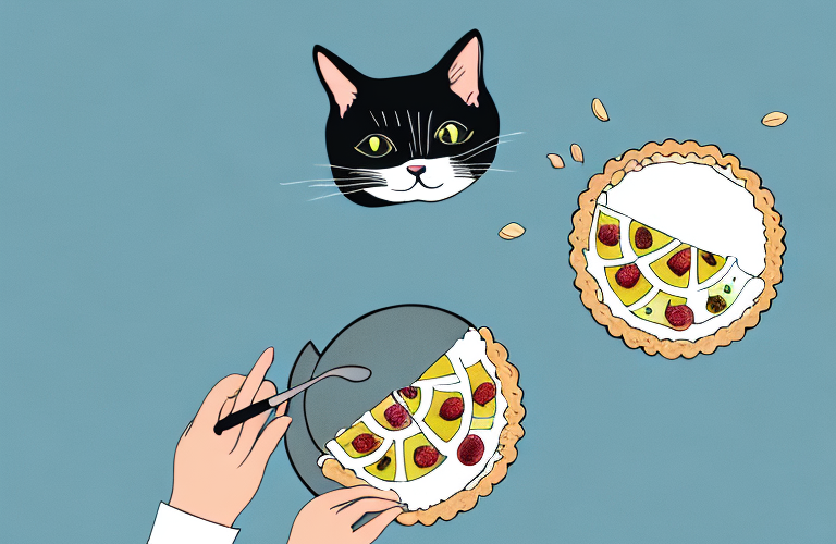 Can Cats Eat Tarts