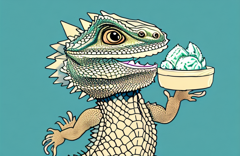 Can Bearded Dragons Eat Ricotta