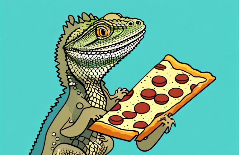 Can Bearded Dragons Eat Pizza