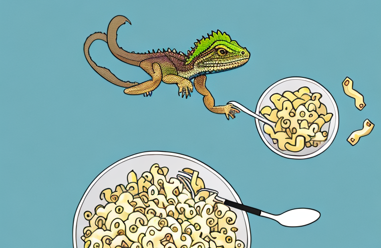 A bearded dragon eating mac and cheese