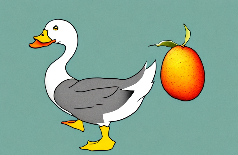 A duck eating a loquat