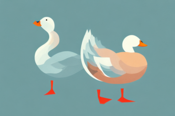 Duck Breed Information: Kaiya Duck