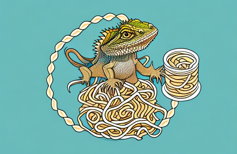 A bearded dragon eating noodles